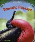 DRAMATIC DISPLAYS