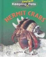 HERMIT CRABS