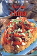 COCINA CHINA RECETAS SABROSAS