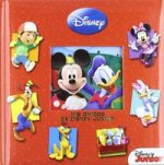 MICKEY PAYHOUSE DISNEY
