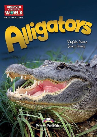 ALLIGATORS, THE