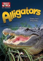 ALLIGATORS, THE