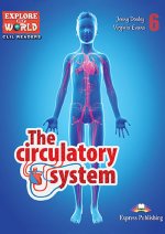 THE CIRCULATORY SYSTEM
