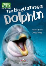 THE BOTTLENOSE DOLPHIN
