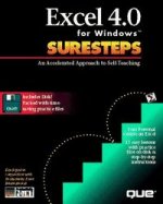 EXCEL 4.0 WINDOWS SURESTEPS DSK