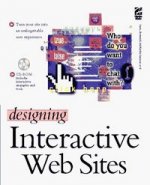 DESIGNING INTERACTIVITY WEB SITES
