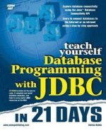 T Y DATABASE PROGAMMING