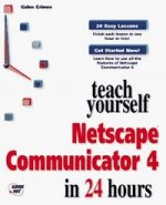T Y NETSCAPE COMMUNICATOR 4 24 HOURS