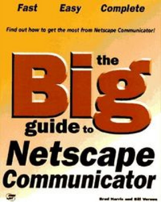 BIG GUIDE NETSCAPE COMUNICATOR 4