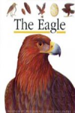 THE EAGLE (FIRST DISCOVERY)