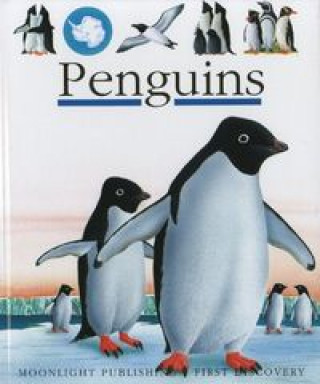PENGUINS