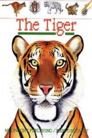THE TIGER (FIRST DISCOVERY)