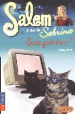 SALEM T12 SALE PUNIT