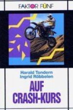AUF CRASH-KURS NIVEL 2 FAKTOR FUNF
