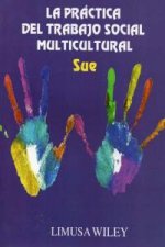 La práctica del trabajo social multicultural