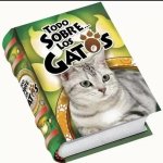 Todo sobre los gatos