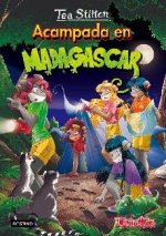 PACK TS24.MADAGASC+SORPRESA