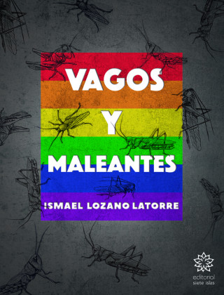 Vagos y maleantes