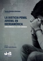 La justicia penal juvenil en Iberoamérica