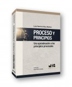 Proceso y Principios