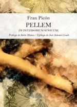 Pellem (in deversorium sensuum)