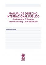 Manual de derecho internacional público