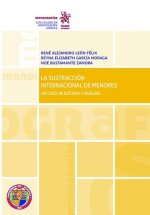 La sustracción internacional de menores . Un caso de estudio y análisis