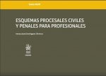 Esquemas procesales civiles y penales para profesionales. Tomo XLVII