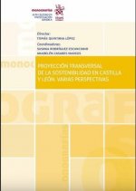 Proyección transversal de la sostenibilidad en Castilla e León. Varias perspectivas