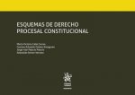 Esquemas de Derecho Procesal Constitucional