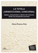 La tutela jurisdiccional concursal