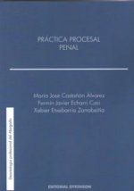 Práctica procesal penal