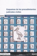 Esquemas de los procedimientos judiciales civiles