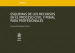 TOMO L Esquemas de los recursos en el proceso civil y penal para profesionales