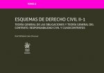 Tomo LI Esquemas de Derecho Civil II-1