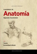 Cuadernos de Anatomía. Aparato locomotor