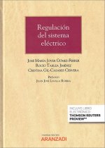REGULACION DEL SISTEMA ELECTRICO DUO