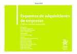ESQUEMAS DE ADQUISICIONES DE EMPRESAS