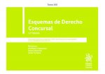 ESQUEMAS DE DERECHO CONCURSAL TOMO XXI