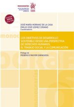 Los Objetivos de Desarrollo Sostenible desde una Perspectiva de Derechos Humanos, El Trabajo Social