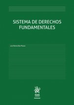 SISTEMA DE DERECHOS FUNDAMENTALES