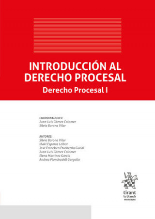 INTRODUCCION AL DERECHO PROCESAL ( DERECHO PROCESAL 1 )