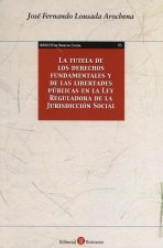 TUTELA DE LOS DERECHOS FUNDAMENTALES Y DE LAS LIBERTADES PúBLICAS EN LA LEY R, LA