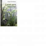 Luces para resucitar