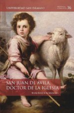 SAN JUAN DE AVILA, DOCTOR DE LA IGLESIA