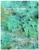 El mar de Barceló- retapat rústica català