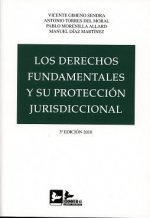LOS DERECHOS FUNDAMENTALES Y SU PROTECCIÓN JURISDICCIONAL