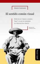 SENTIDO COMúN VISUAL, EL