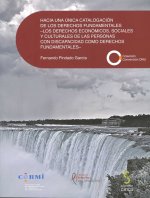 Hacia una unica catalogación de los derechos fundamentales