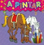 A pintar nº5